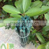 Green Bamboo Dried,round Flower Sticks for Sale thumbnail-4