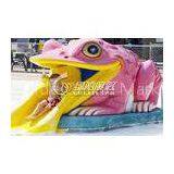 Colorful Small Frog Water Slide / Kids' Water Slides Safety for Aqua Park Playground Equipment thumbnail-1