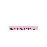 Shenzhen Ninta Industrial Co.,Ltd