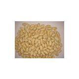 Blanched Peanut Kernels