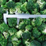 Frozen Broccoli thumbnail-2