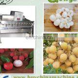 Machines pour éplucher et désnoyer les fruits de longane, éplucheuse de fruits de litchi et équipement pour enlever le noyau, ligne de traitement de jus de litchi thumbnail-4
