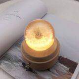 Dandelion Music Box thumbnail-2