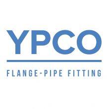 Cangzhou Youlong Pipe Fitting Manufacturing Co., Ltd.