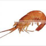 Frozen Argentine Red Shrimp - Whole or Tails thumbnail-1