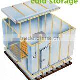 Walk in Freezer Room for Milk thumbnail-3