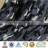 Printed Curtain Fabric for Car Seat and Sofa