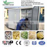 Automatic Bean Sprouting Machine