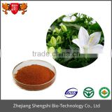 Organic dried Balloon flower root extract brown fine powder