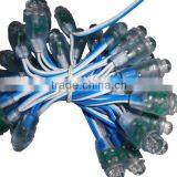 BLUE Color Led 12mm Node,through-hole Type,injection Made,IP65 Rated;DC5V Input;0.1W;50pcs a String