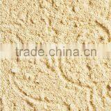 Weatherproof Texture Paint