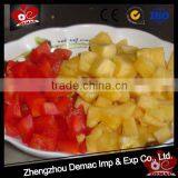 Best Quality Electric Vegetable Cutter Leafy Vegetable Cutter thumbnail-1