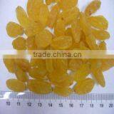 Golden Sun Raisins, Hand Selected Quality thumbnail-1