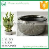 Tower Shape Lucky Bamboo Ceramic Cup Shaped Flower Pot