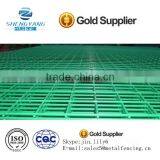 Plastic Coated and Galvanized Welded Wire Mesh Panel for Cage