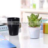 Frame Decorative Flower Pot Plastic Round Flower Pot thumbnail-3