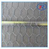 China Lowest Price Galvanized Hexagonal Wire Netting/decorative Chicken Wire Mesh thumbnail-4