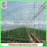 Commercial Plastic Vegetable Greenhouse for Sale With Seedbed thumbnail-6