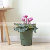 High Impact Plastic Flower Pot thumbnail-4