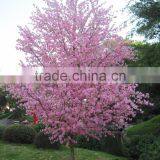 Street Landscaping Festival Decoration Outdoor Silk Peach Blossom Tree thumbnail-4