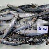 Zhengyuan Fozen Seafood Frozen Horse Mackerel thumbnail-1