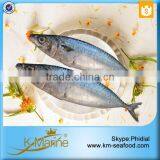 China Supplier of Sea Food Products thumbnail-3