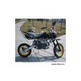 Sell 125cc Dirt Bike WBL-37 With Oil Cooler and Chrome Frame thumbnail-1