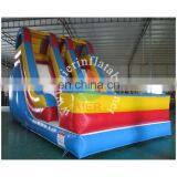 Double Lanes Inflatable Water Slides for Sale, Giant Inflatable Slide for Adult thumbnail-1