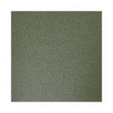 Matt PPGI With Rough Surface and Handfeel Steel Coil thumbnail-5