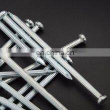 Galvanized Concrete Nails in Material 55# for Construction thumbnail-5