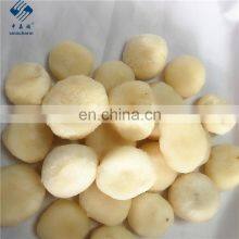 Sinocharm New Season Sweet Crisp IQF Frozen Peeled Whole Water Chestnut thumbnail-1