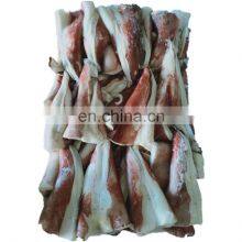 Frozen Squid Tip Giant Squid Tail Indian Ocean Squid Tip thumbnail-1