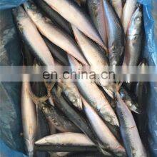 Sea Frozen Pacific Mackerel Fish Frozen Mackerel Prices Whole Round thumbnail-5