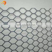 Perforated Metal Wire Mesh/Perforated Sheet/Perforated Plate