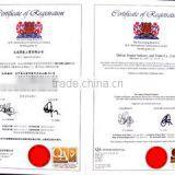 Dalian Jingtai Industry Trade Co., Ltd. company overview - view 4 thumbnail