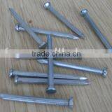 Concrete Nail**