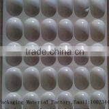 Biodegradable Plastic Thermoforming Fruit Packaging Tray thumbnail-5