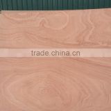 Plywood/Vietnam Plywood/Packing Plywood/ Commercial Plywood