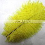 High Quality Real Natural Ostrich Feathers, Decorative Feathers Wholesale thumbnail-1