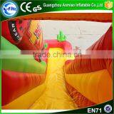 Customize Car Toys Inflatable Big Size Water Slides,water Park Slides for Sale Supplier's Choice thumbnail-6