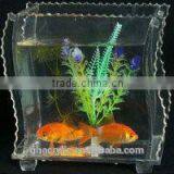 Cheap Acrylic Fish Tank Small Fish Tank for Sale thumbnail-1
