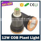New Model 12W Spot COB Led Grow Light for Small Pot Plant Growing