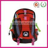 2013 Dongguan Promotional Hiking Backpack (factory)