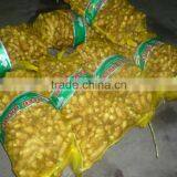 Chinese Fresh Ginger thumbnail-1