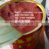 High quality and good price canned tomato paste/tomato kechup/tomato sauce