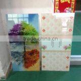 High Resolution Flatbed Glass Printing Machine Max Printing Size 1.2x2.5m thumbnail-5