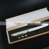 Promotional Ballpen Red Laser Pointer+LED 3 in 1