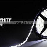 Free Shipping 5M RGB 5050 300leds SMD China New Rgb Led Waterproof Strip Hot Sell