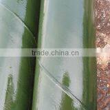 Steel Pipe Pe Coated