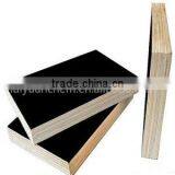 Film Faced Plywood thumbnail-1